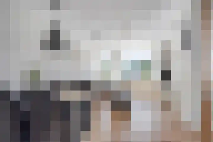 Nieuwe Hescheweg 68 Oss thumbnail 11