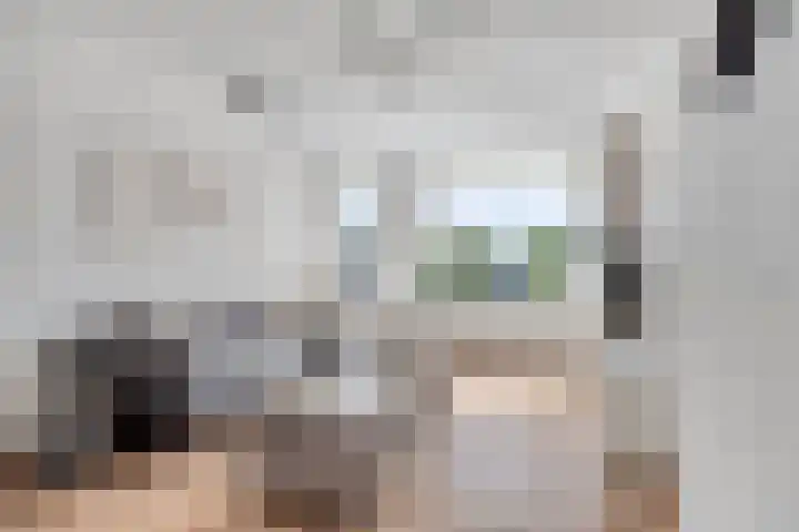Nieuwe Hescheweg 68 Oss thumbnail 12