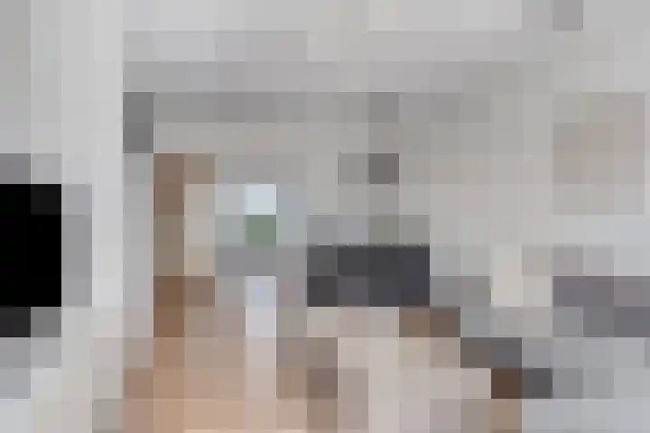 Nieuwe Hescheweg 68 Oss thumbnail 13