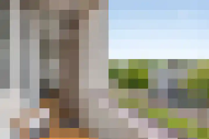 Nieuwe Hescheweg 68 Oss thumbnail 20