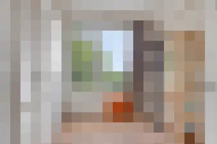 Nieuwe Hescheweg 68 Oss thumbnail 21