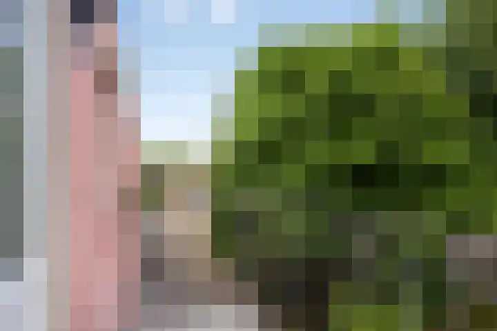 Nieuwe Hescheweg 68 Oss thumbnail 22