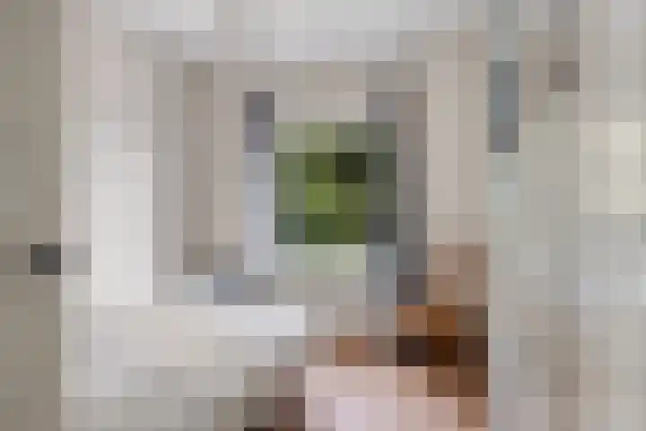 Nieuwe Hescheweg 68 Oss thumbnail 24