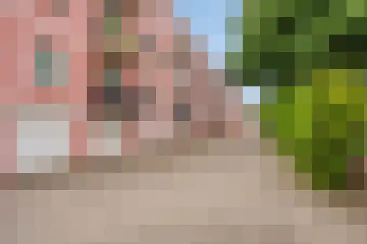 Nieuwe Hescheweg 68 Oss thumbnail 26