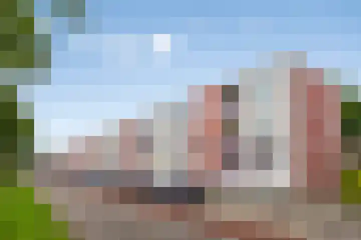 Nieuwe Hescheweg 68 Oss thumbnail 29