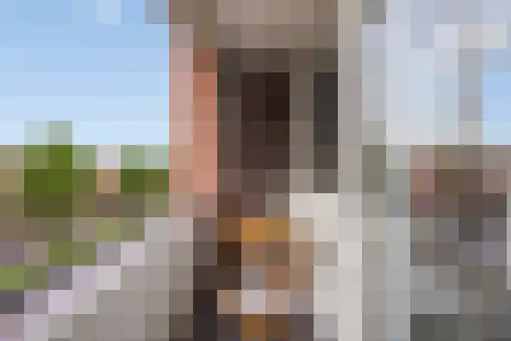 Nieuwe Hescheweg 68 Oss thumbnail 4