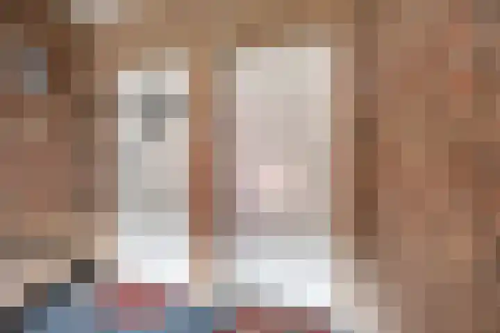 Nieuwe Hescheweg 68 Oss thumbnail 7