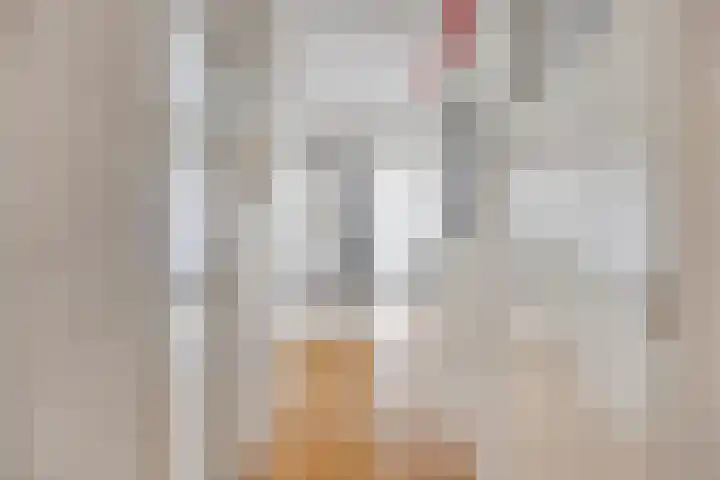 Nieuwe Hescheweg 68 Oss thumbnail 8