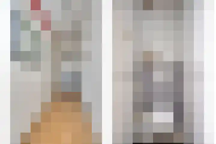 Nieuwe Hescheweg 68 Oss thumbnail 9