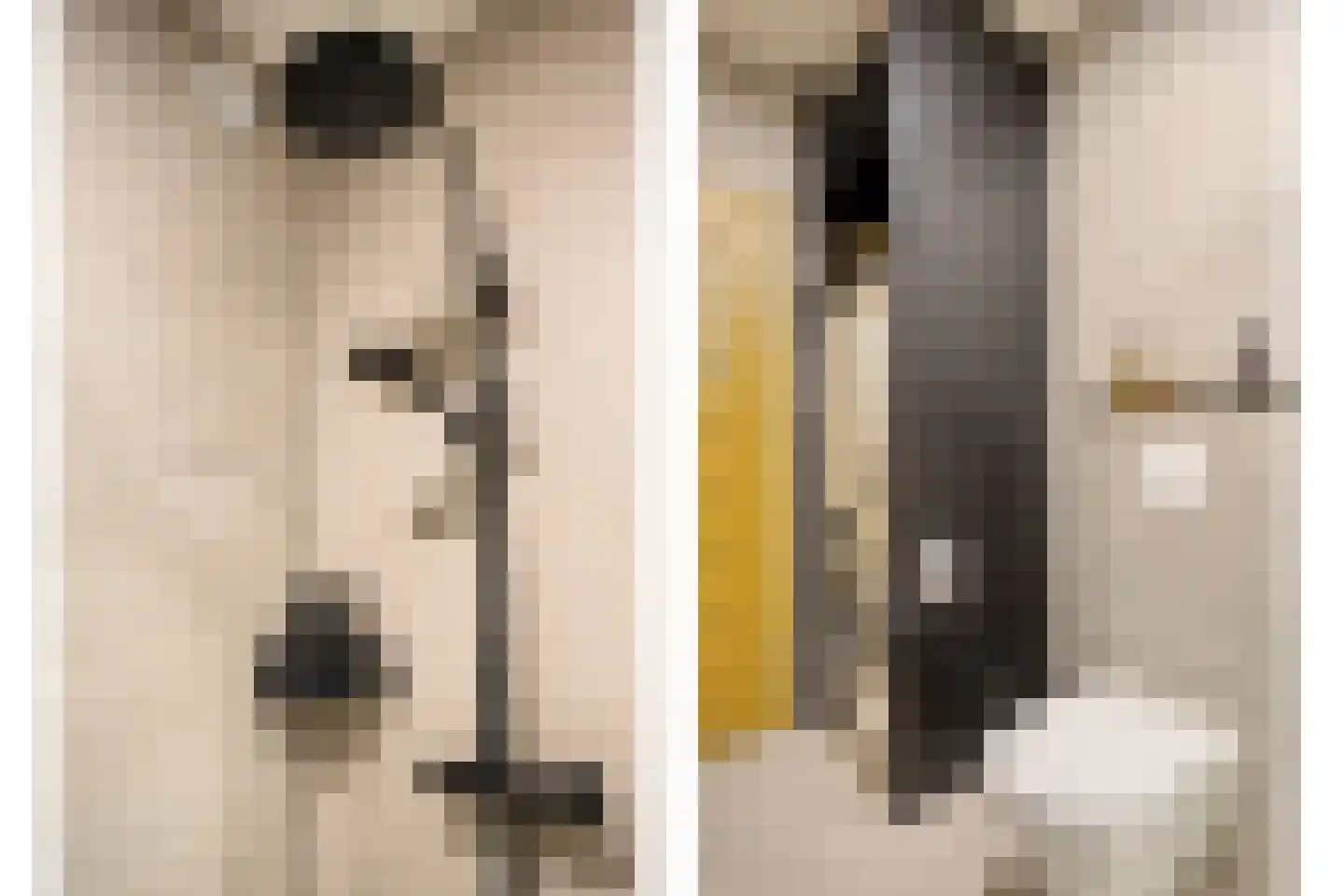 Nieuwe Hescheweg 74 Oss thumbnail 11
