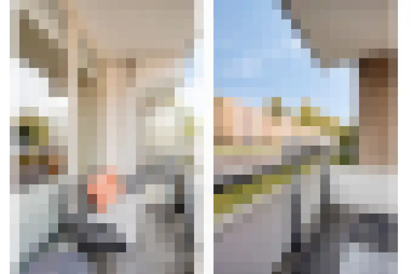 Nieuwe Hescheweg 74 Oss thumbnail 13