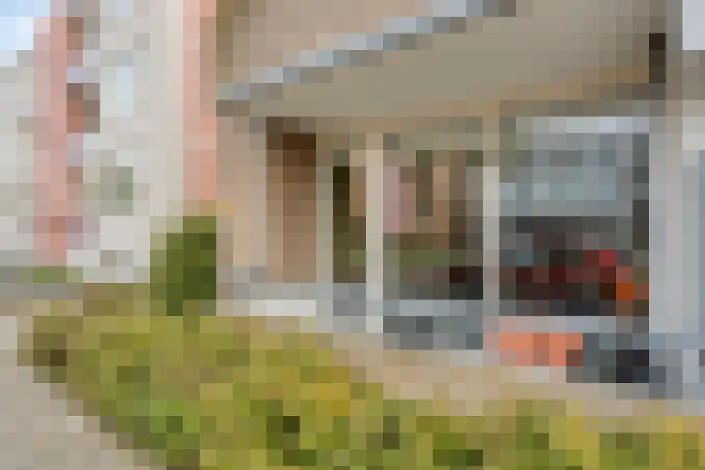 Nieuwe Hescheweg 74 Oss thumbnail 16