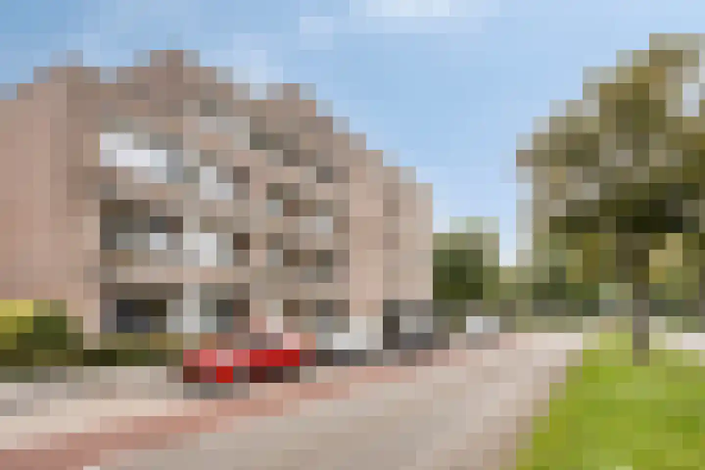 Nieuwe Hescheweg 74 Oss thumbnail 18