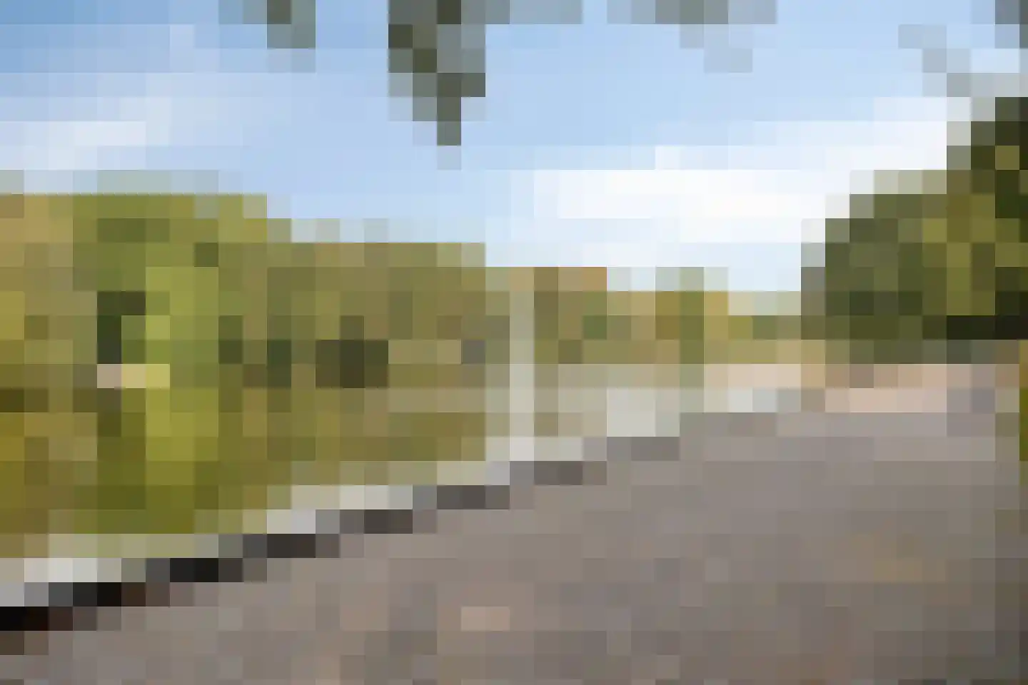 Nieuwe Hescheweg 74 Oss thumbnail 20