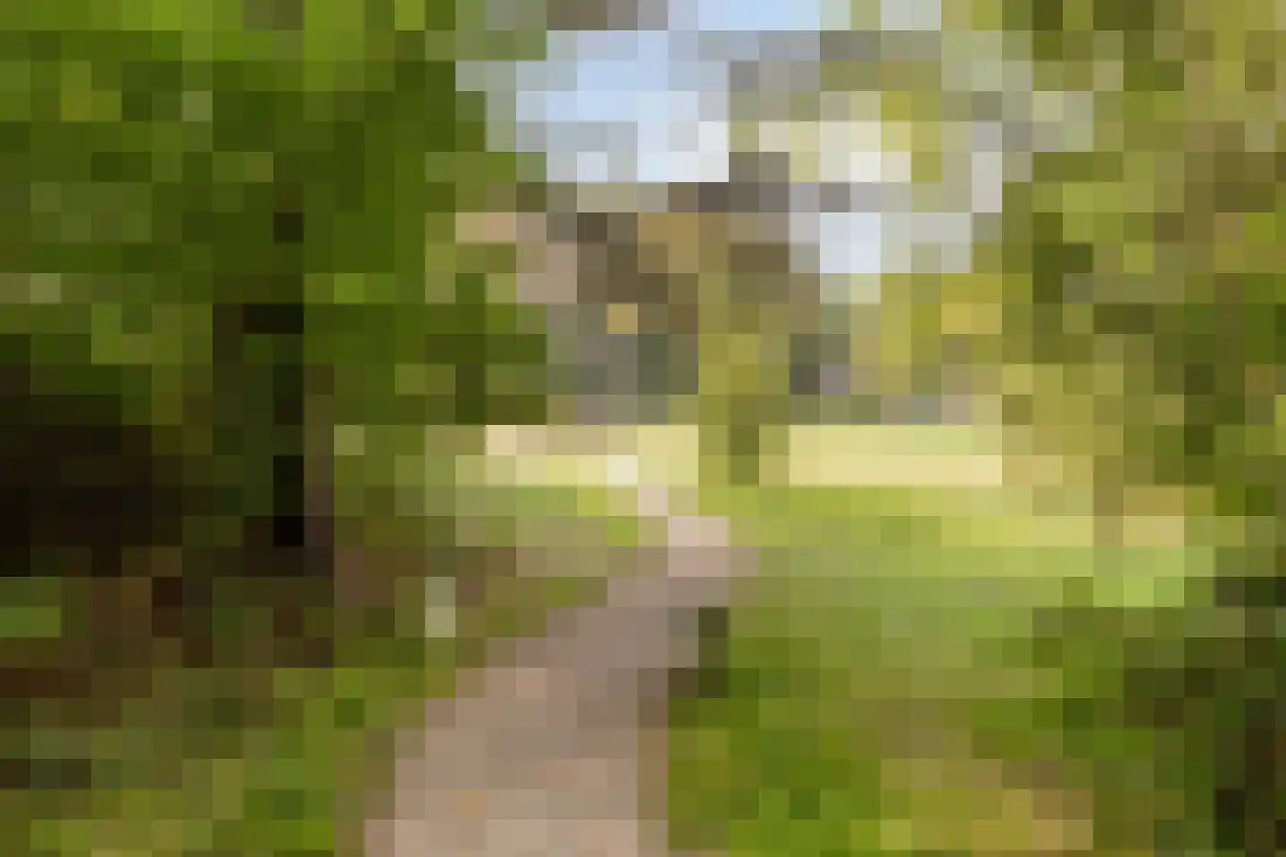 Nieuwe Hescheweg 74 Oss thumbnail 21
