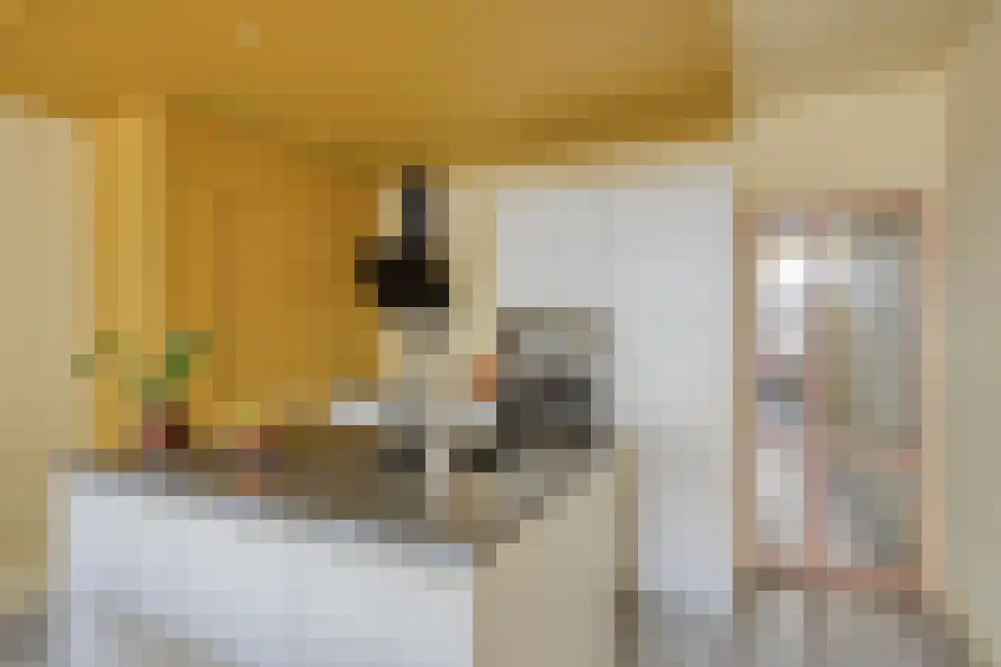 Nieuwe Hescheweg 74 Oss thumbnail 4