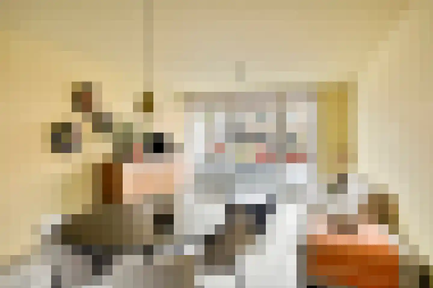 Nieuwe Hescheweg 74 Oss thumbnail 5