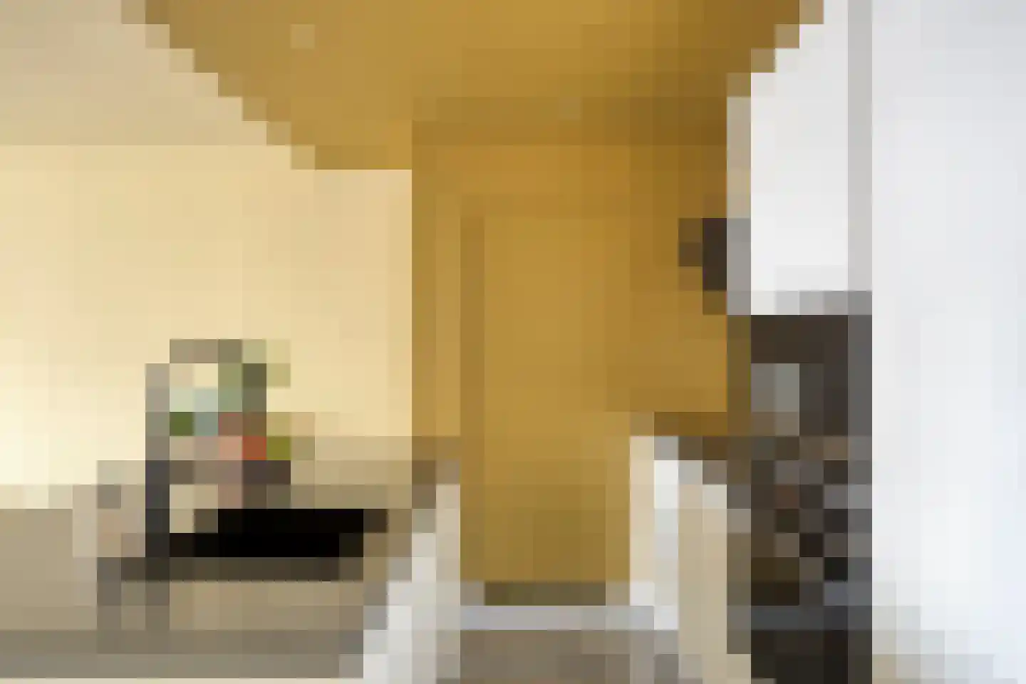 Nieuwe Hescheweg 74 Oss thumbnail 7