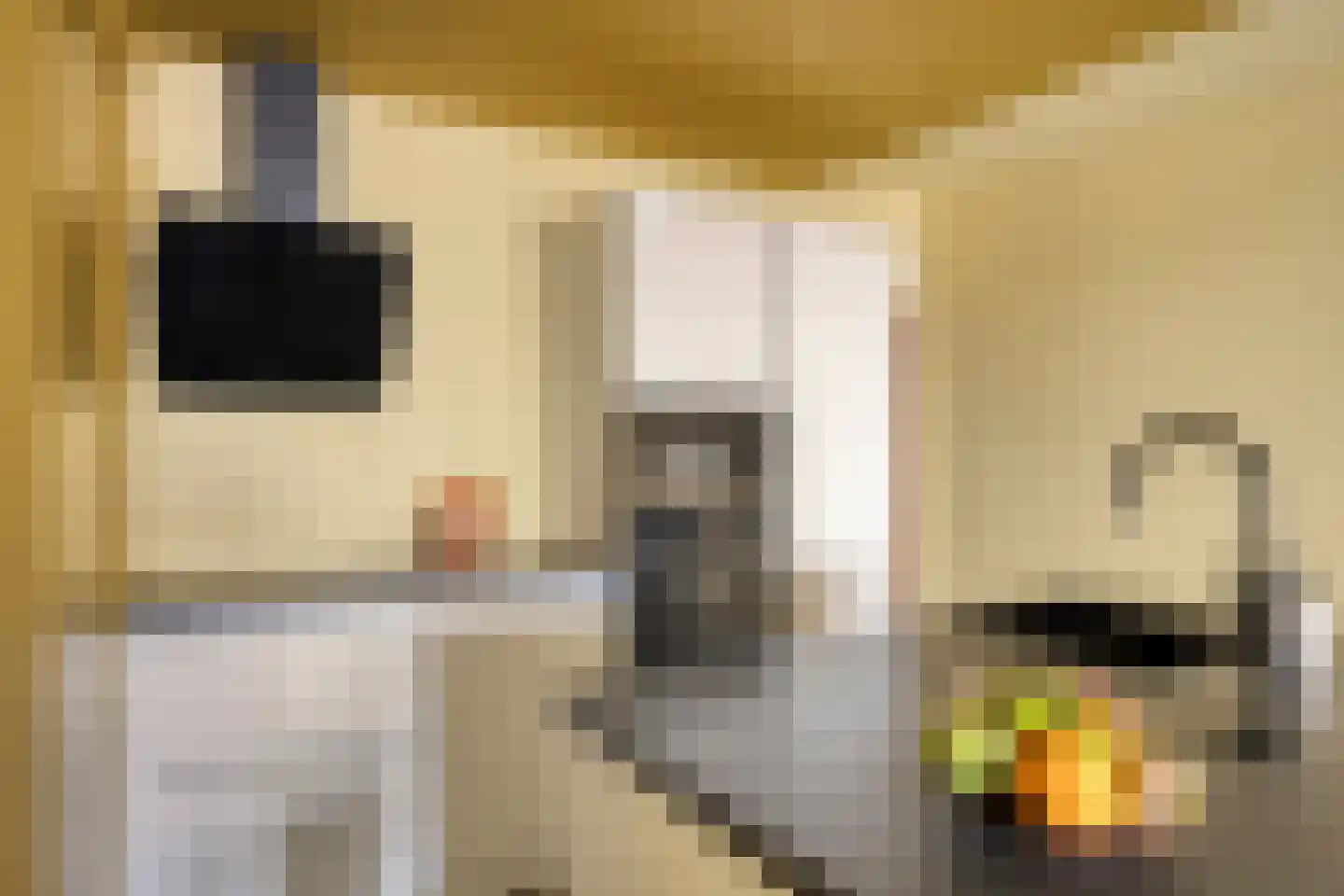 Nieuwe Hescheweg 74 Oss thumbnail 8