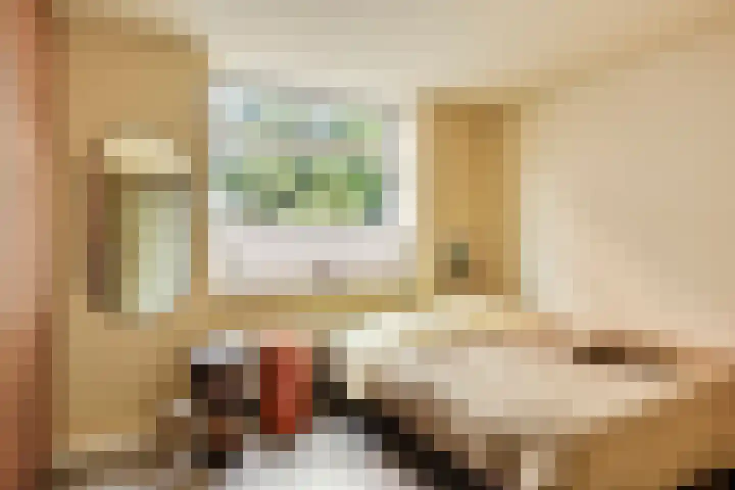 Nieuwe Hescheweg 74 Oss thumbnail 9