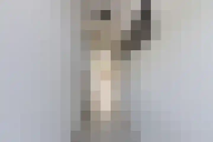 Nieuwe Hescheweg 76 H Oss thumbnail 10