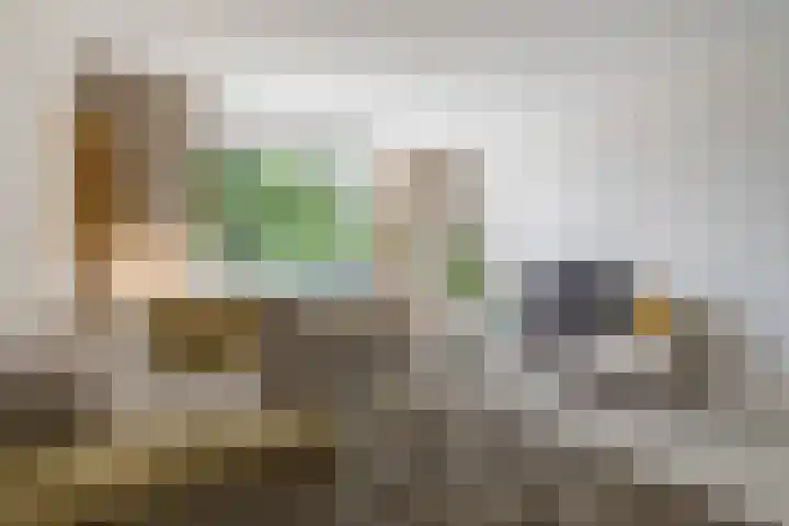 Nieuwe Hescheweg 76 H Oss thumbnail 4