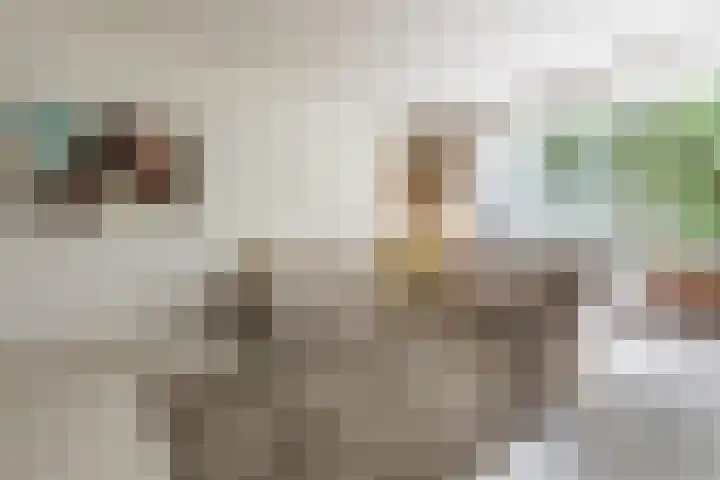 Nieuwe Hescheweg 76 H Oss thumbnail 5