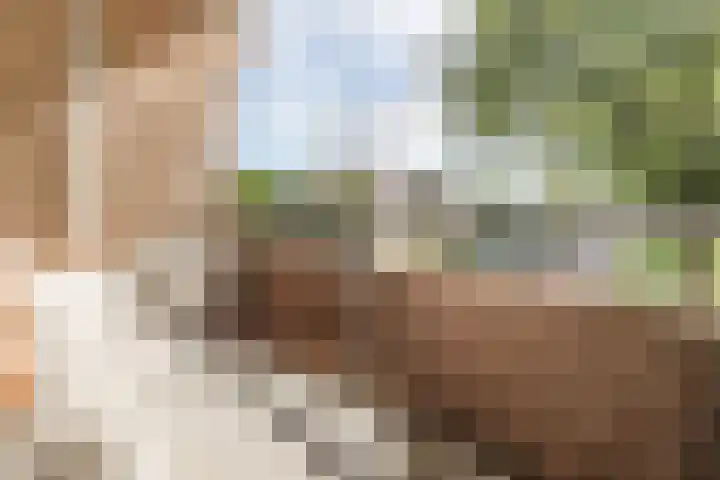 Nieuwe Hescheweg 76 H Oss thumbnail 6
