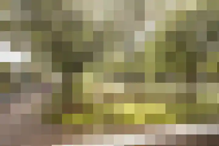 Nieuwe Hescheweg 76 H Oss thumbnail 7