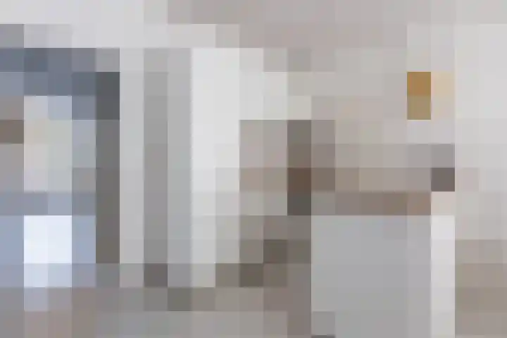 Nieuwe Hescheweg 76 H Oss thumbnail 8