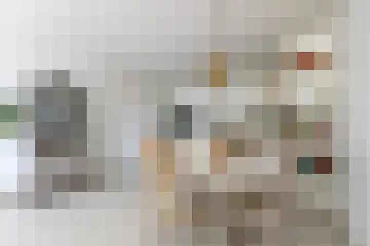 Nieuwe Hescheweg 76 H Oss thumbnail 9