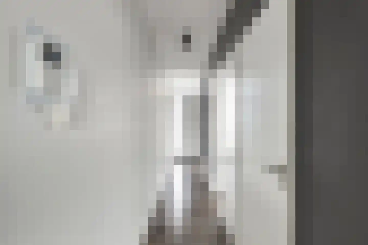 Nieuwe Hescheweg 78 C Oss thumbnail 10