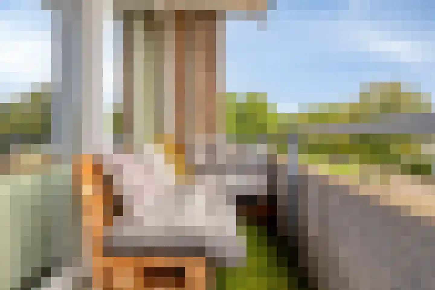Nieuwe Hescheweg 78 C Oss thumbnail 13