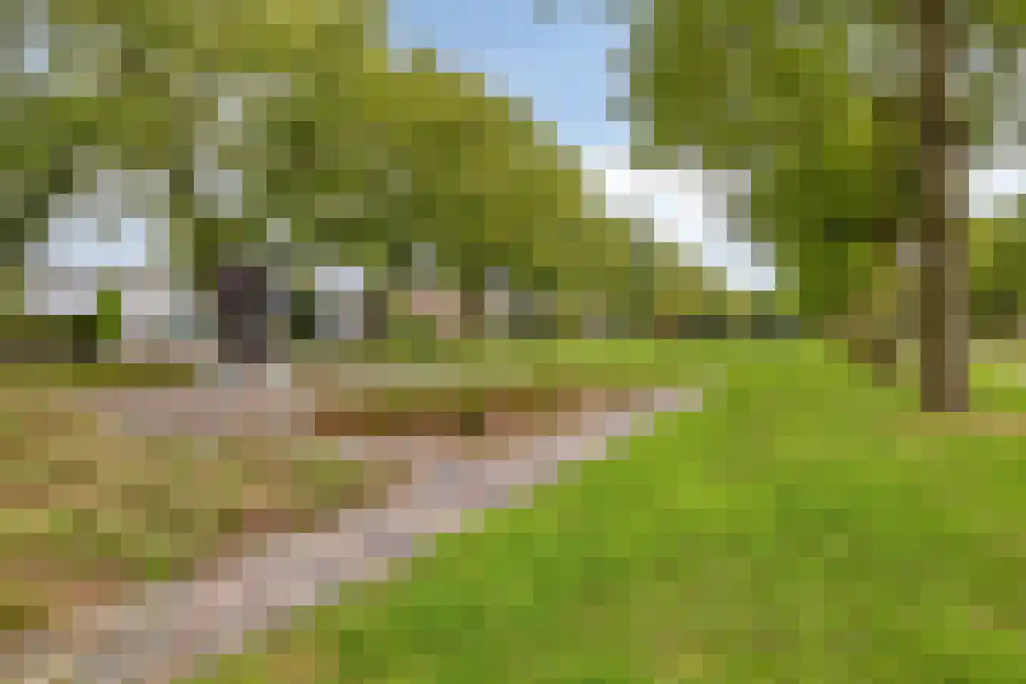 Nieuwe Hescheweg 78 C Oss thumbnail 22