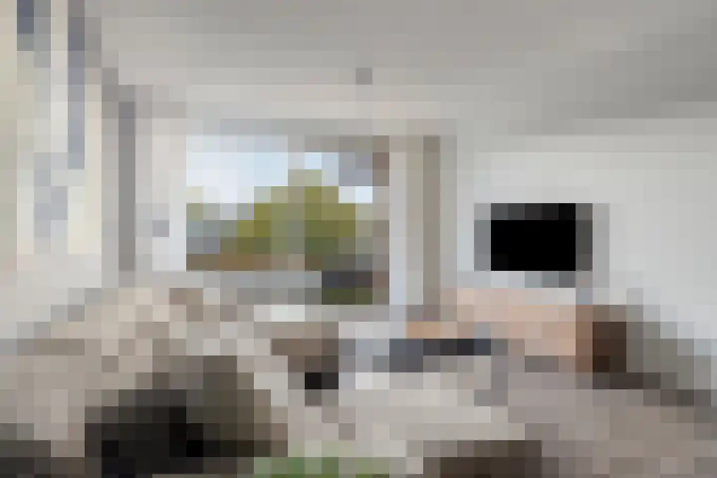 Nieuwe Hescheweg 78 C Oss thumbnail 4