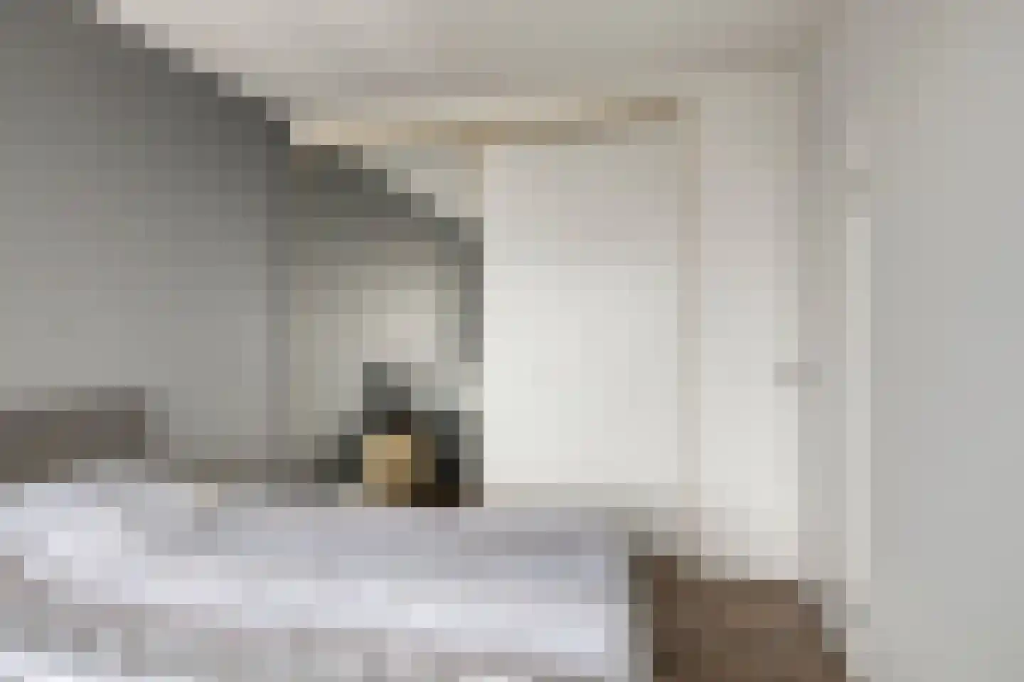 Nieuwe Hescheweg 78 C Oss thumbnail 9