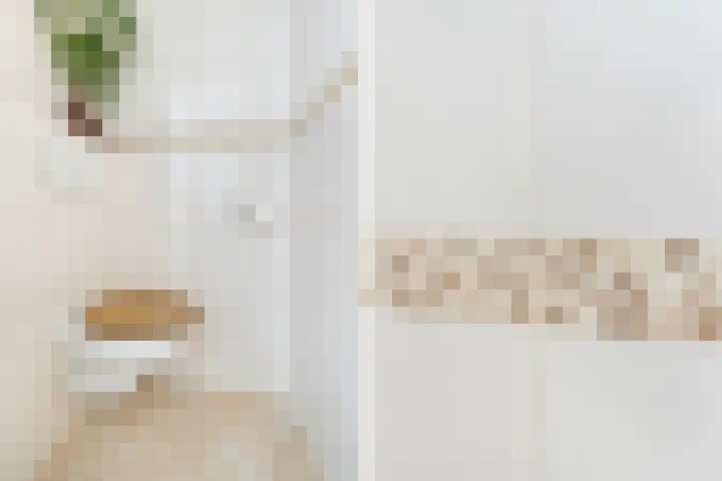 Nieuwe Hilstraat 21 Dordrecht thumbnail 26