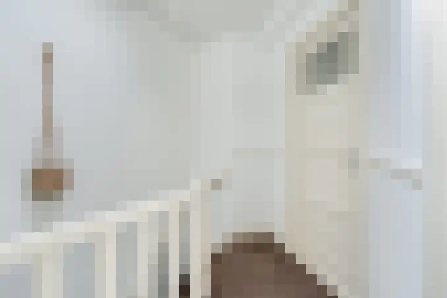 Nieuwe Hilstraat 21 Dordrecht thumbnail 27