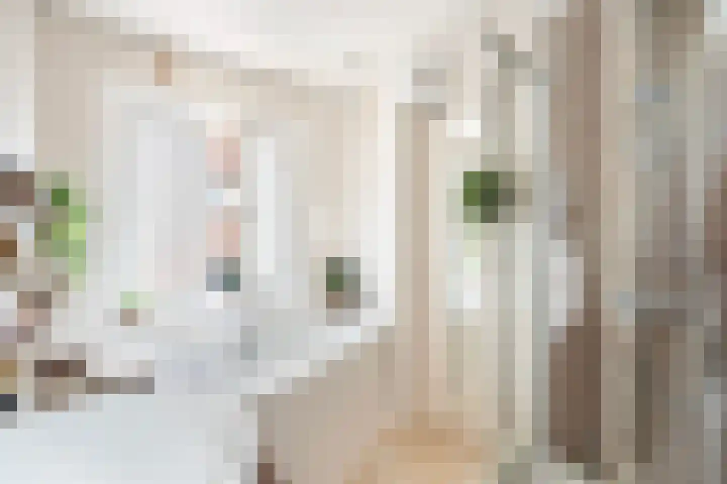 Nieuwe Hilstraat 21 Dordrecht thumbnail 30