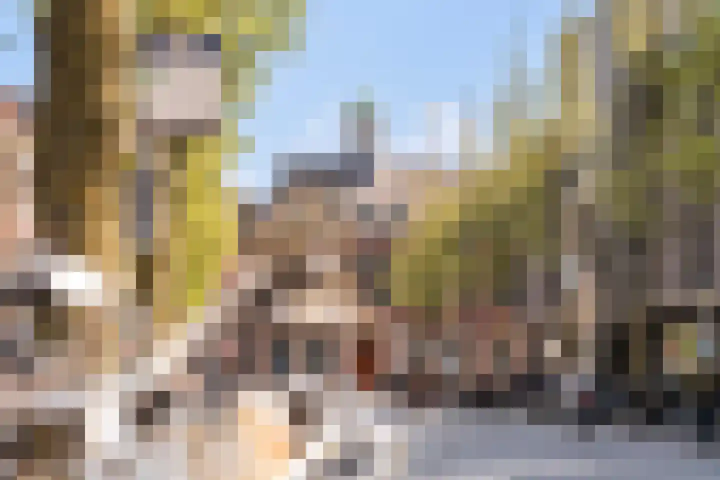 Nieuwe Hilstraat 21 Dordrecht thumbnail 43