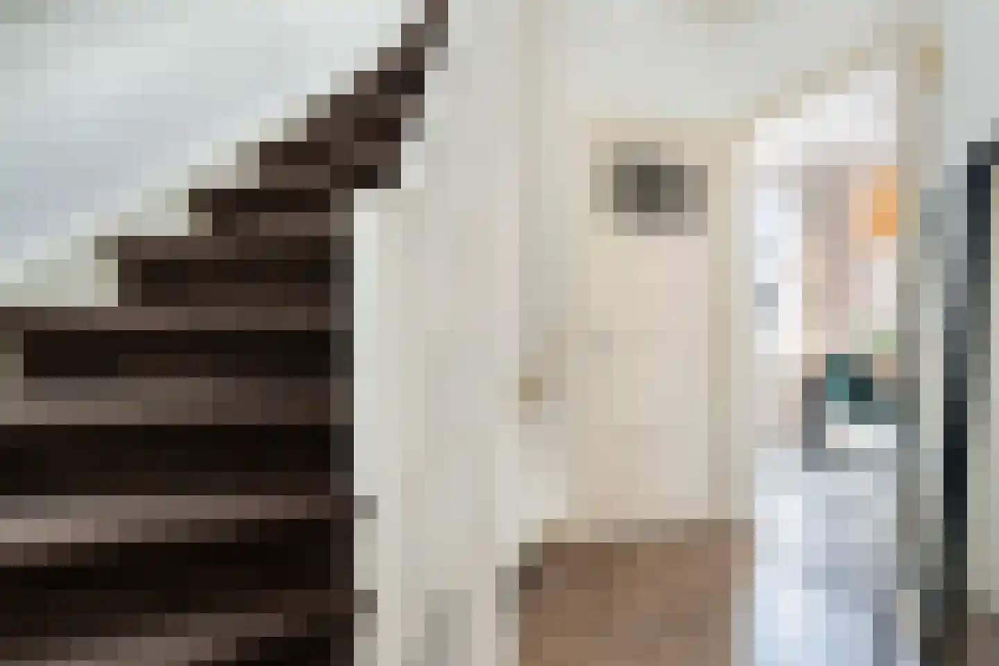 Nieuwe Hilstraat 21 Dordrecht thumbnail 6