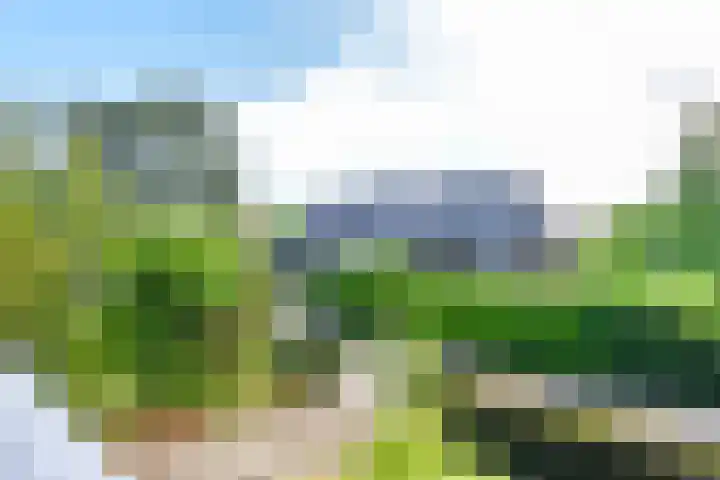 Nieuwe Hilversumseweg 40 Bussum thumbnail 24