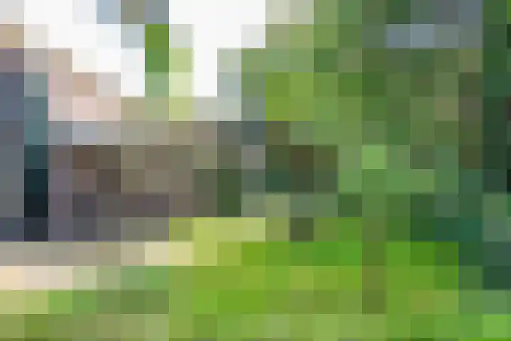 Nieuwe Hilversumseweg 40 Bussum thumbnail 34