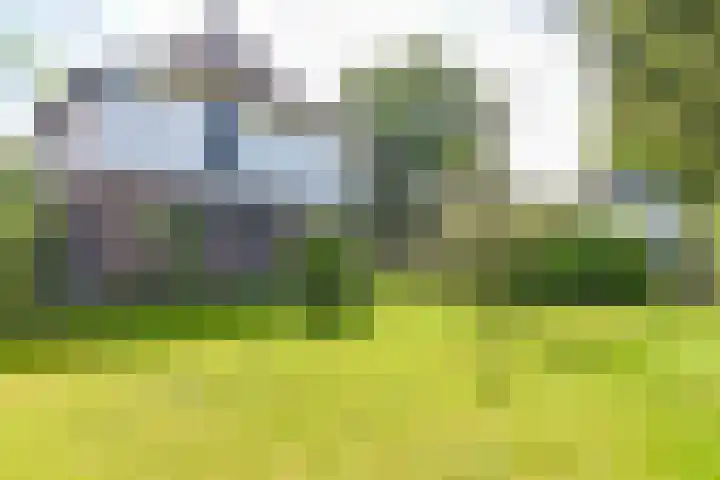 Nieuwe Hilversumseweg 40 Bussum thumbnail 37