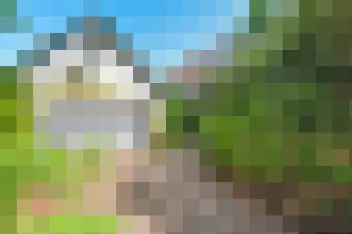 Nieuwe Hilversumseweg 40 Bussum thumbnail 39
