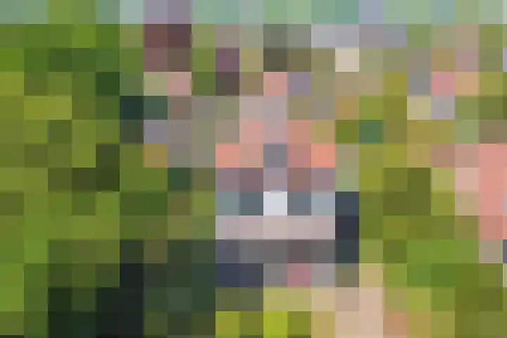 Nieuwe Hilversumseweg 40 Bussum thumbnail 42