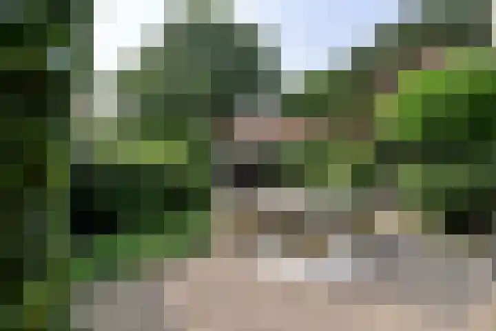 Nieuwe Hilversumseweg 49 A Bussum thumbnail 13