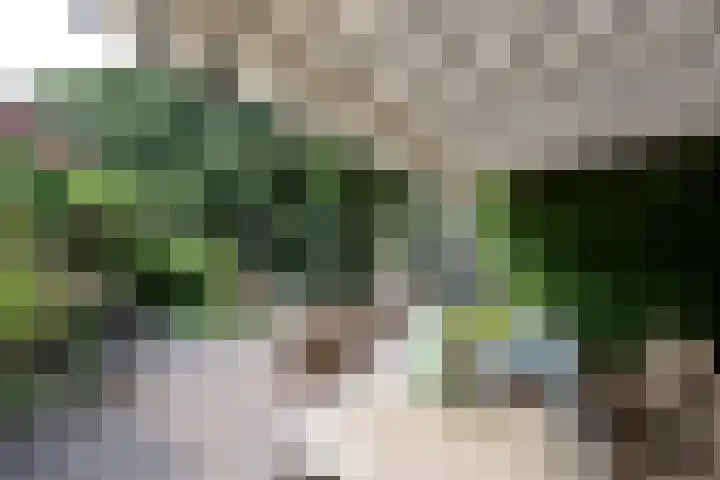 Nieuwe Hilversumseweg 49 A Bussum thumbnail 14