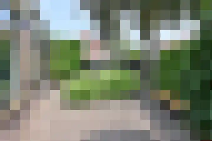 Nieuwe Hilversumseweg 49 A Bussum thumbnail 15