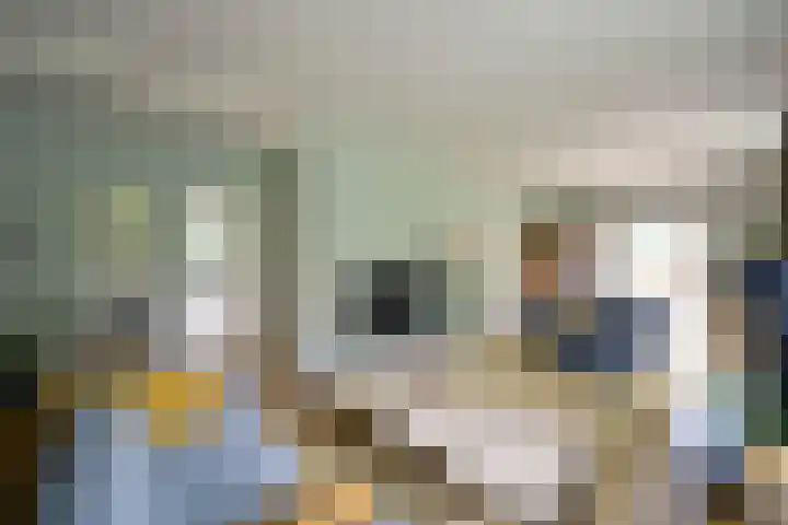 Nieuwe Hilversumseweg 49 A Bussum thumbnail 5